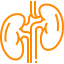 fun-facts-icon1